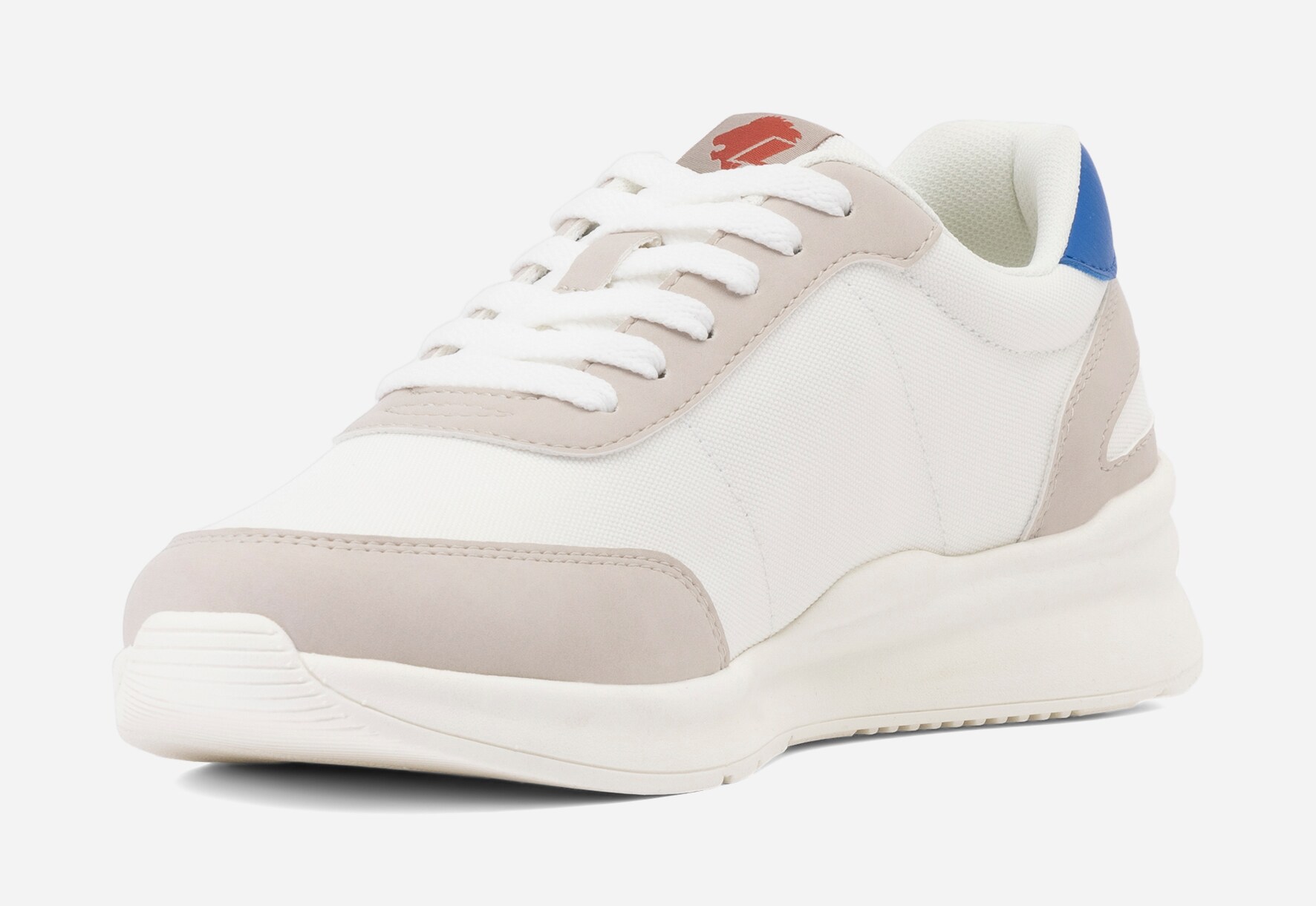 LEJON, Sneakers Vita