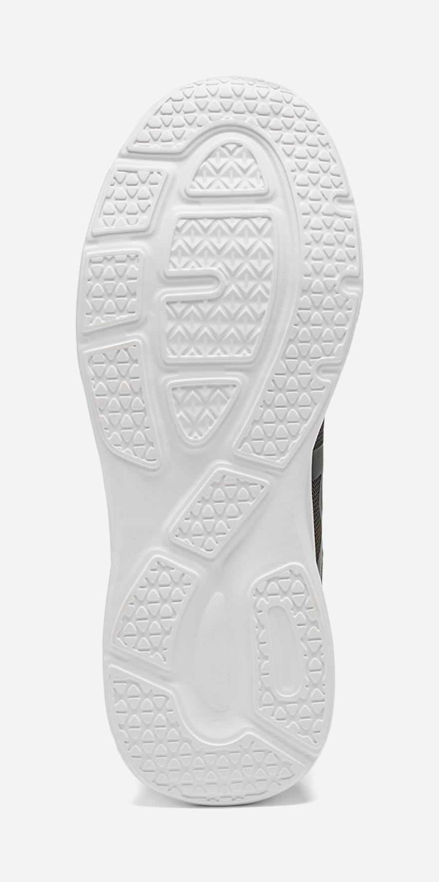 LEJON, Sneakers Gröna